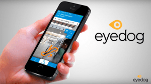 eyedog aplicación